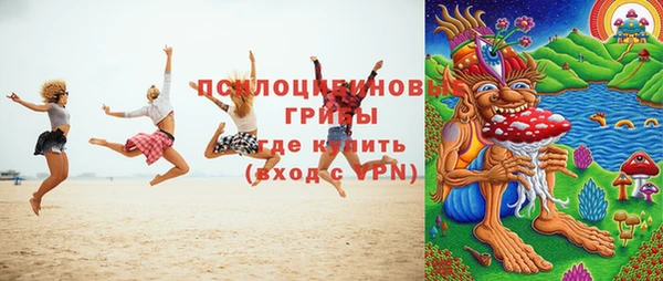 прущая мука Богородицк