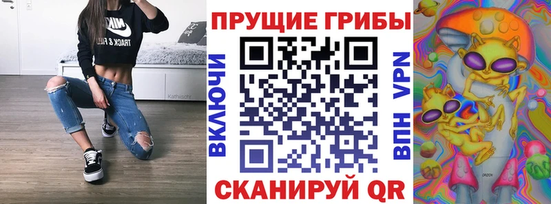 Галлюциногенные грибы Cubensis  Купить закладки  Опочка 